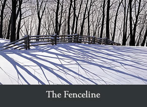 the fenceline